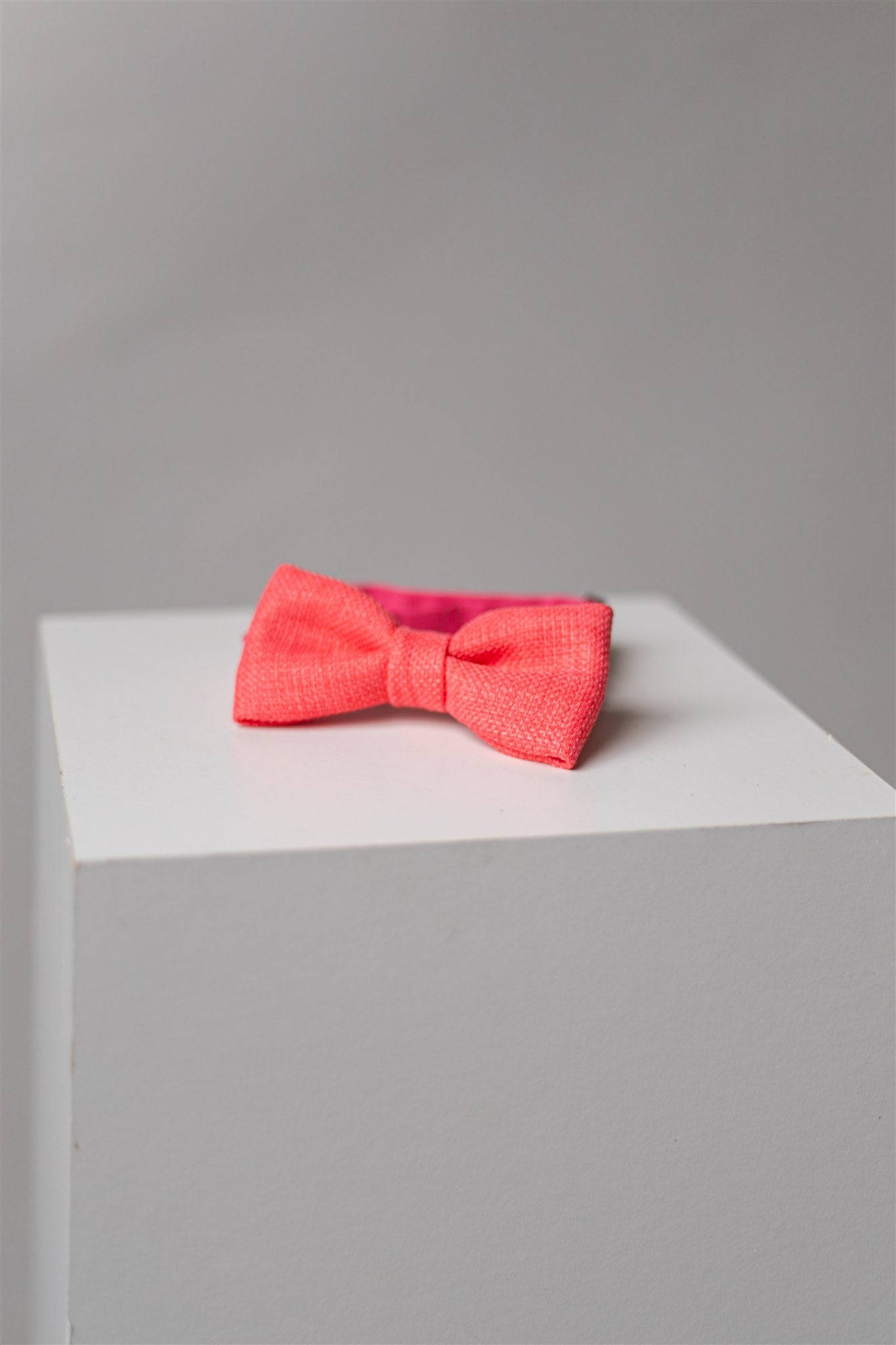 Fliege | bow tie | Edwin light