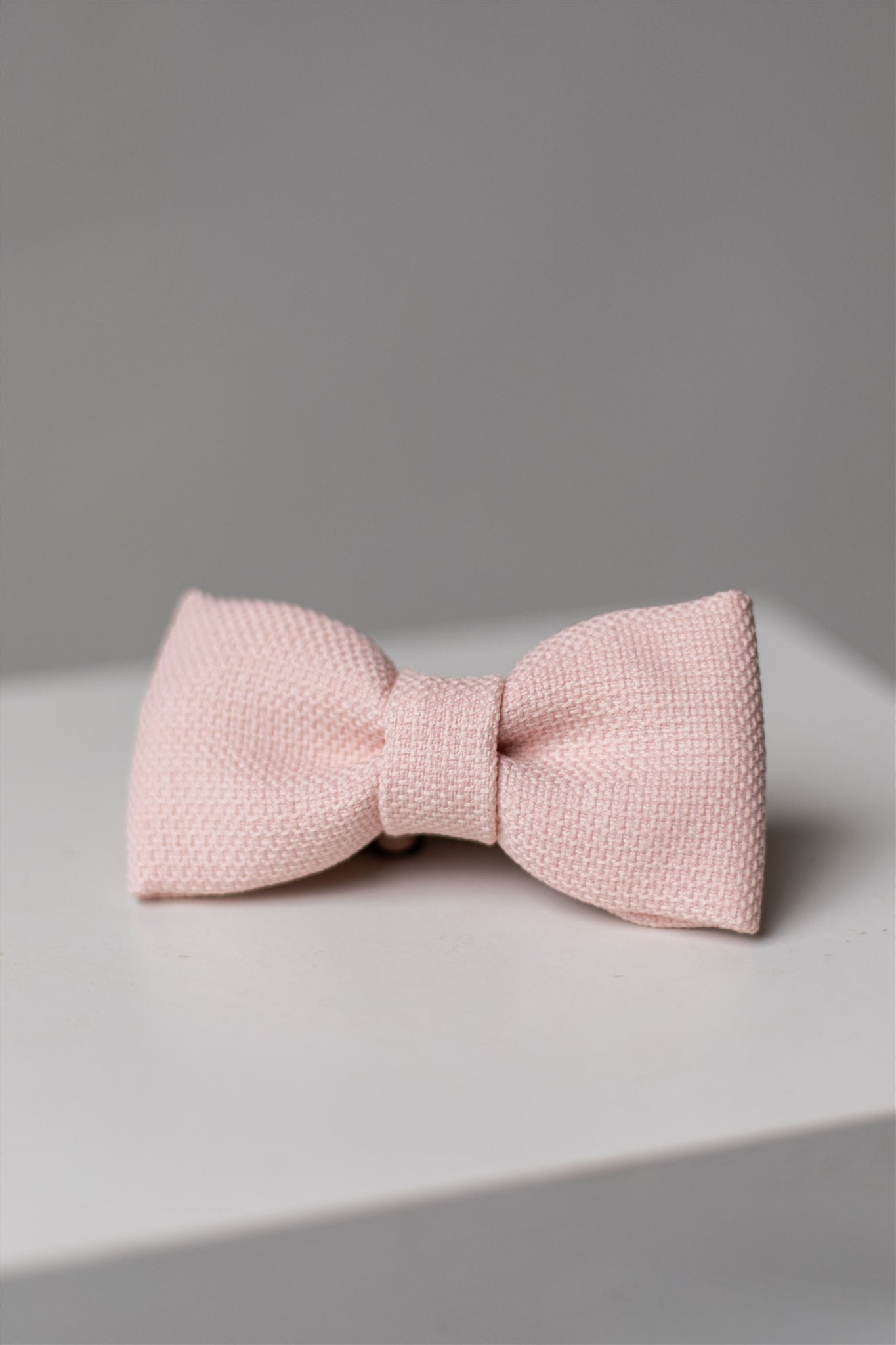 Fliege | bow tie | Edwin light