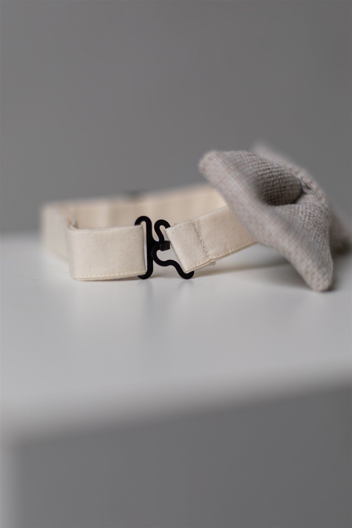 Fliege | bow tie | Edwin light